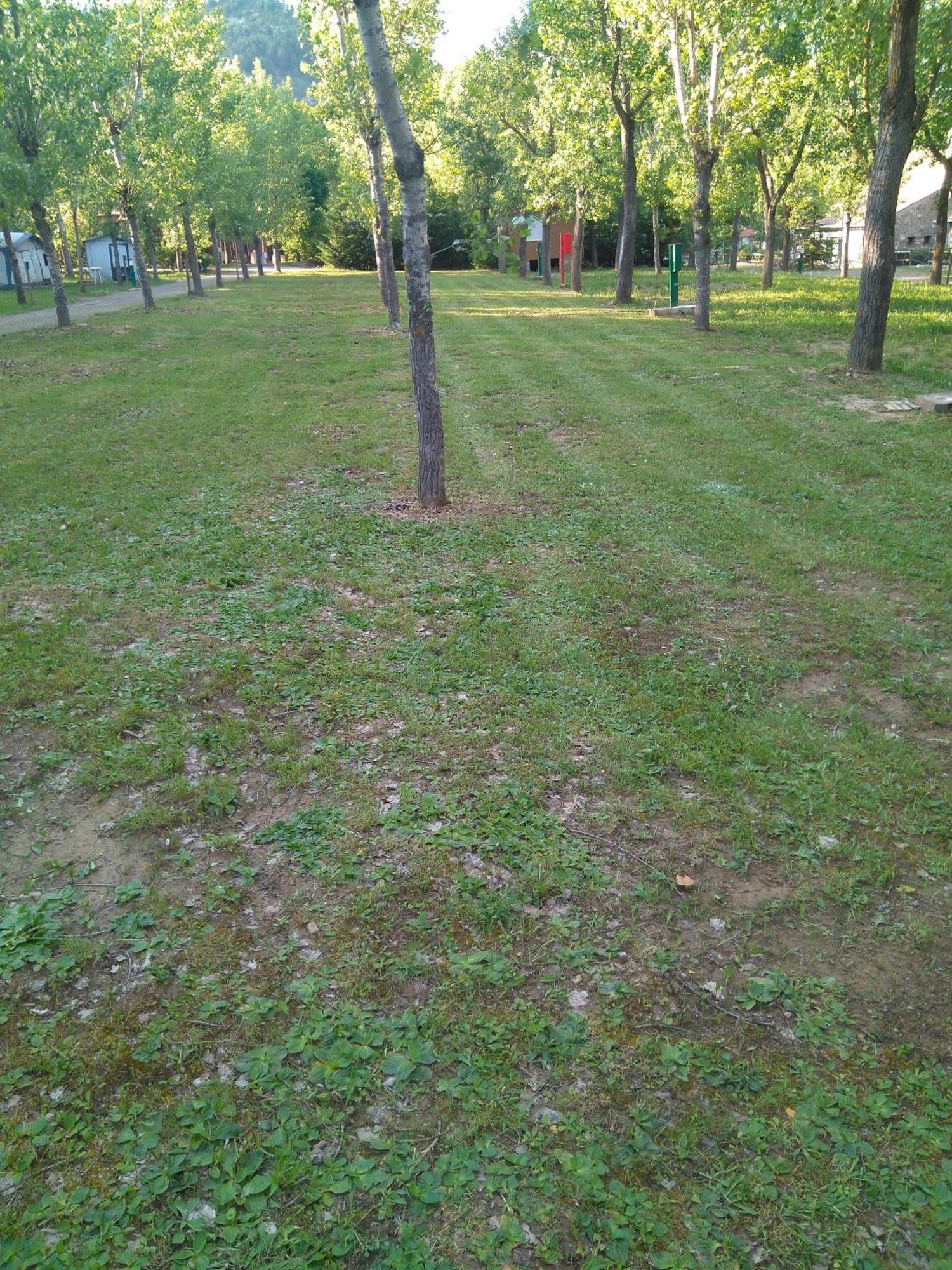 Camping Valle De Ечо Екстер'єр фото