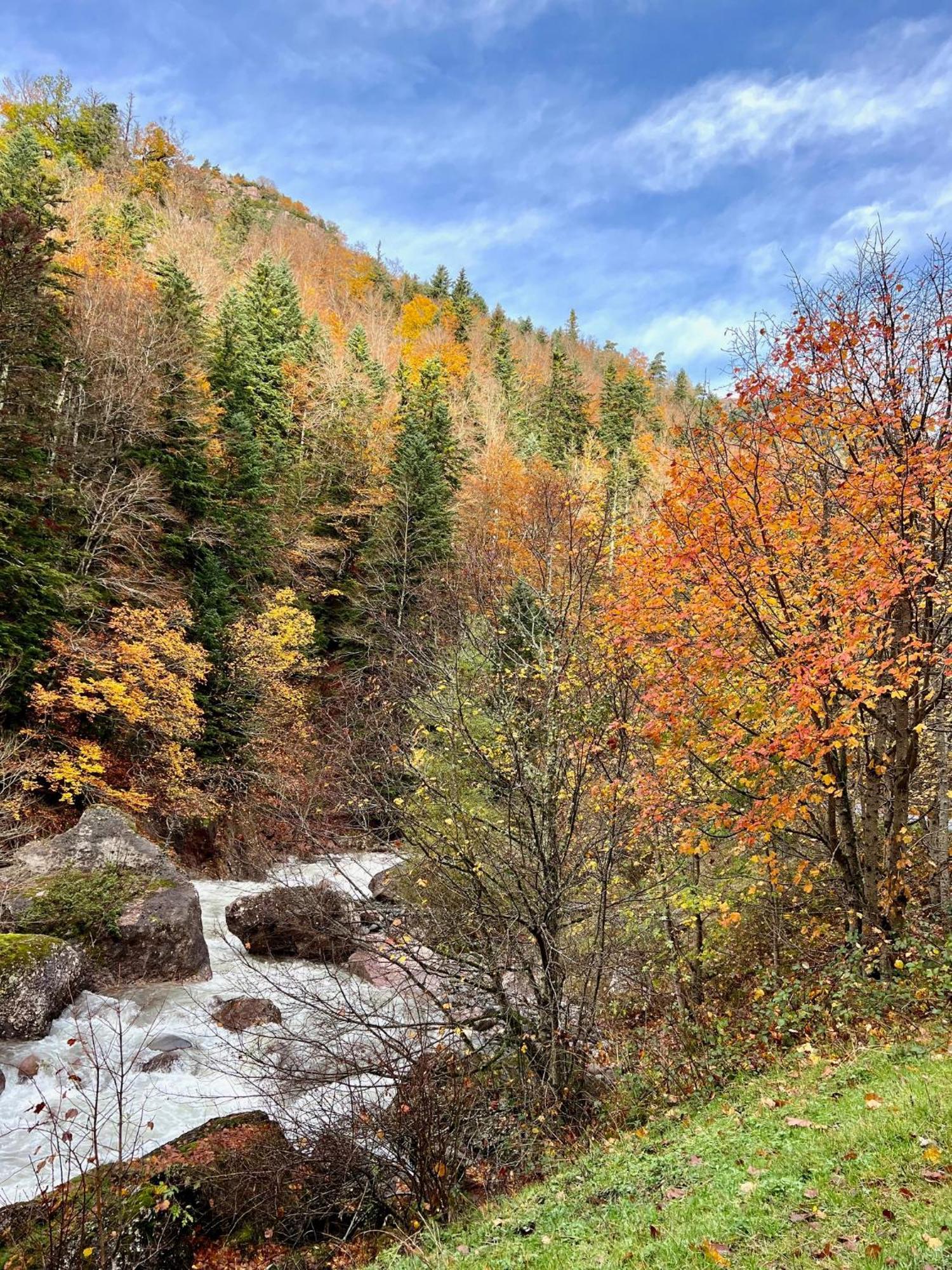 Camping Valle De Ечо Екстер'єр фото