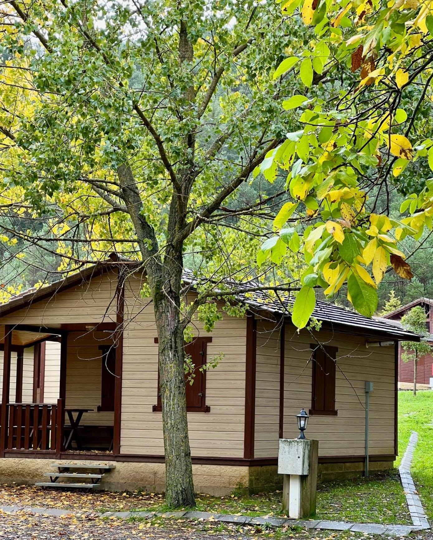 Camping Valle De Ечо Екстер'єр фото