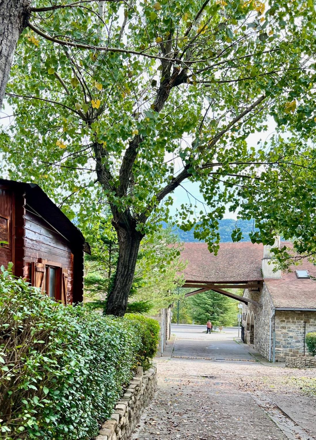 Camping Valle De Ечо Екстер'єр фото