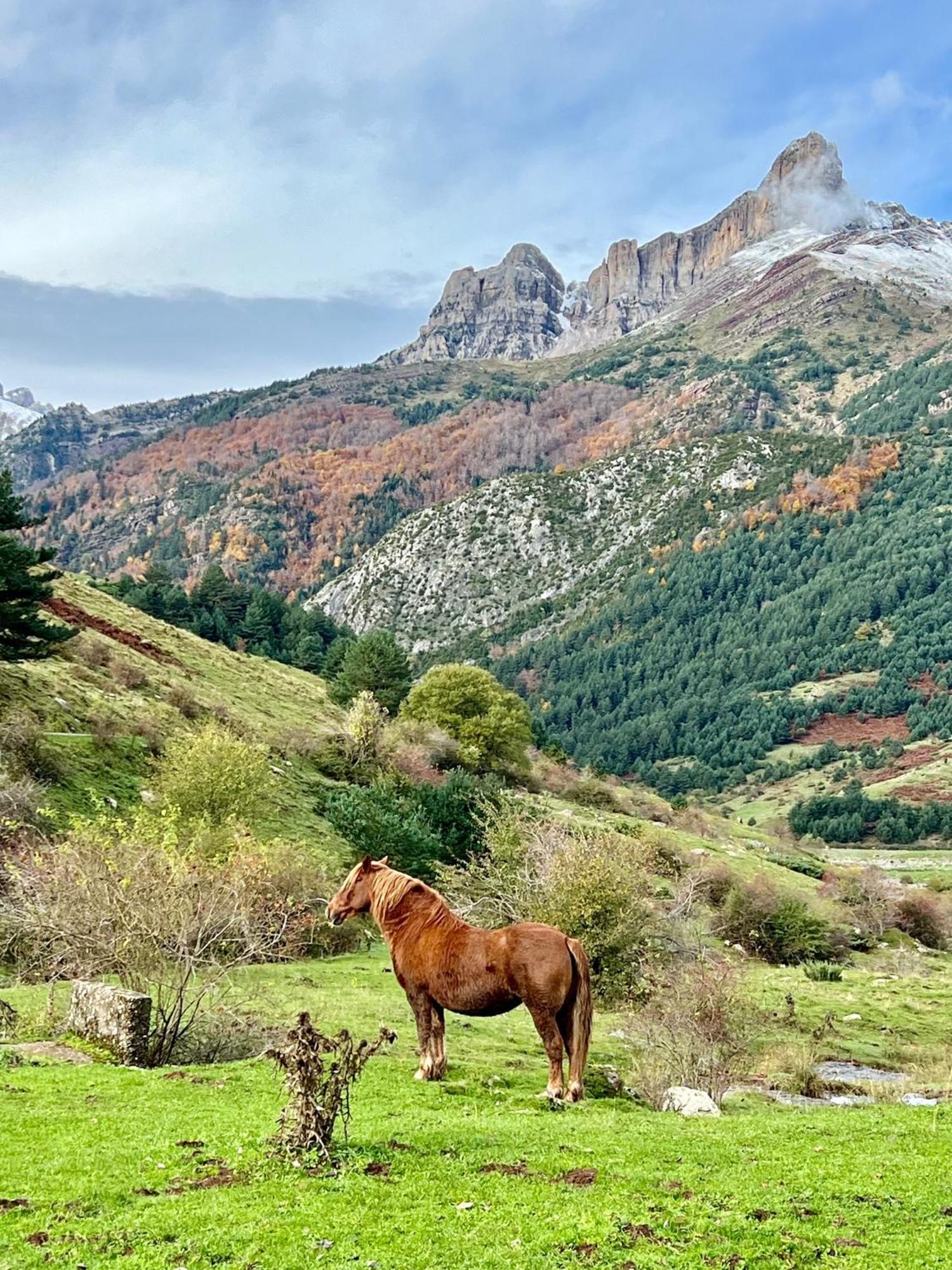 Camping Valle De Ечо Екстер'єр фото
